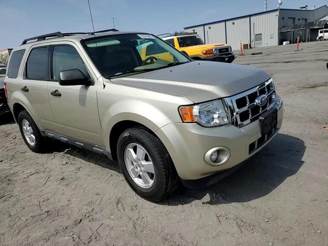 2011 Ford Escape Xlt VIN: 1FMCU0D72BKA14834 Lot: 65375425