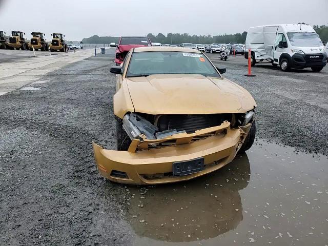 2010 Ford Mustang VIN: 1ZVBP8AN9A5112262 Lot: 63988355