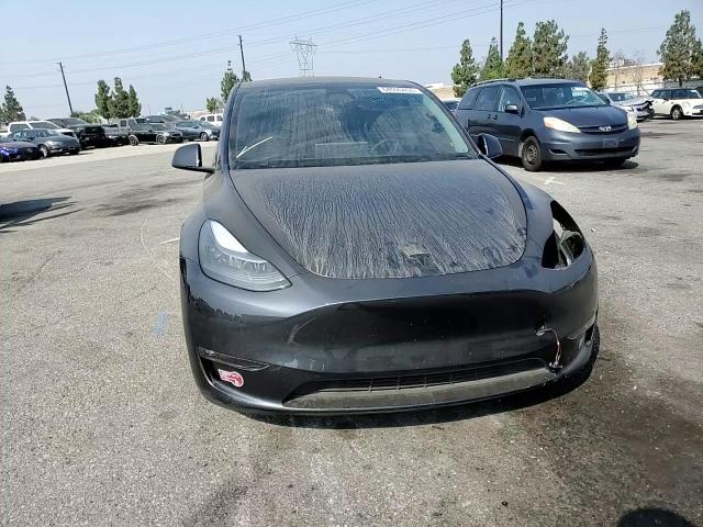 2024 Tesla Model Y VIN: 7SAYGDEF0RF059697 Lot: 64595455