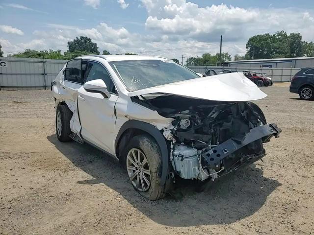 2021 Lexus Nx 300 Base VIN: JTJDARBZ5M5030812 Lot: 64955965