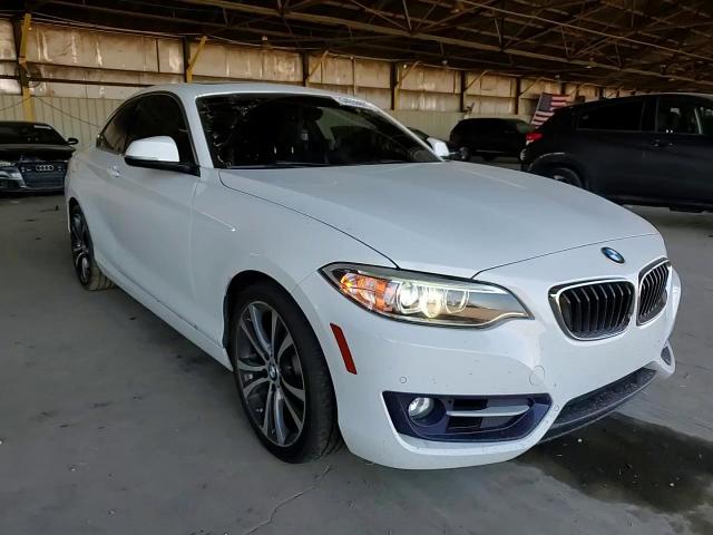 2016 BMW 228 I Sulev VIN: WBA1F9C54GV544722 Lot: 64659655
