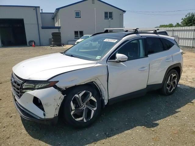 2022 Hyundai Tucson Limited VIN: 5NMJECAE3NH030294 Lot: 63422235