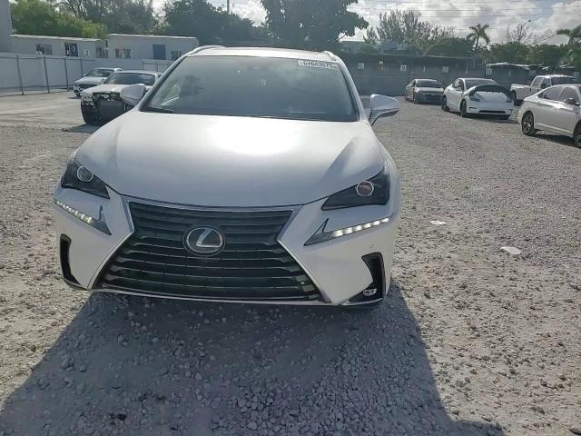 2021 Lexus Nx 300 Base VIN: JTJDARBZ5M5021141 Lot: 67043675