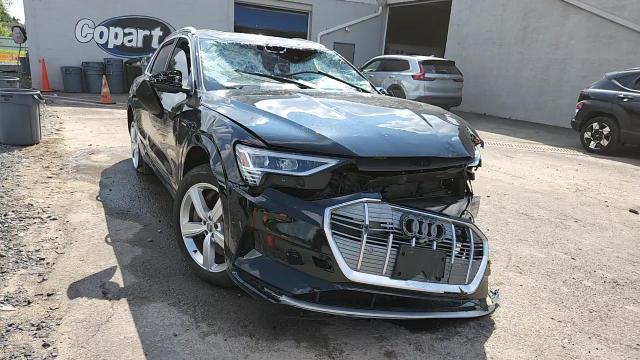 2019 Audi E-Tron Premium Plus VIN: WA1LAAGE2KB009902 Lot: 64760245