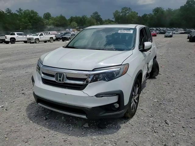 2020 Honda Pilot Exl VIN: 5FNYF6H52LB059366 Lot: 66347655