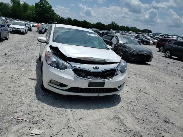 2014 Kia Forte Ex VIN: KNAFX4A87E5172325 Lot: 64253945
