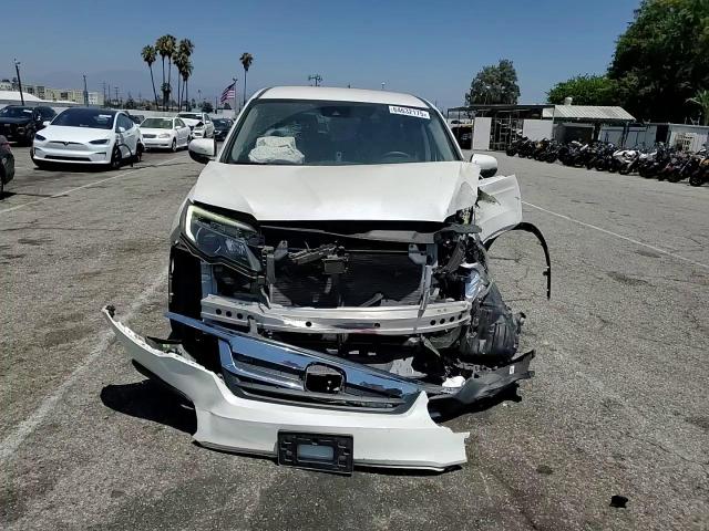 2019 Honda Pilot Ex VIN: 5FNYF5H37KB021297 Lot: 64632175