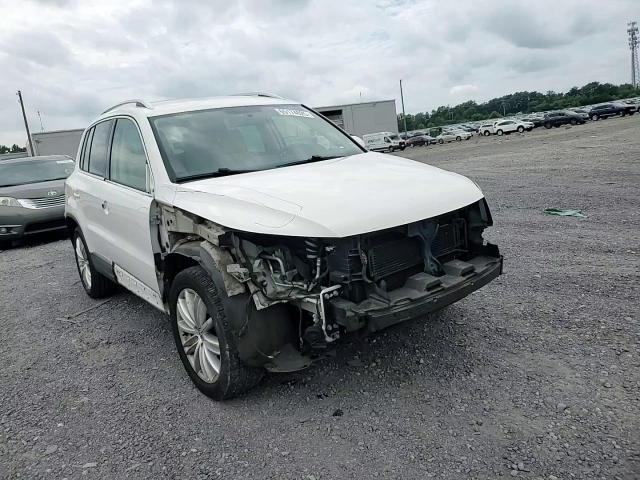 2013 Volkswagen Tiguan S VIN: WVGAV3AX5DW592576 Lot: 65174025