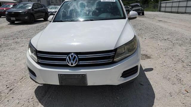 2012 Volkswagen Tiguan S VIN: WVGAV7AXXCW550703 Lot: 66713725