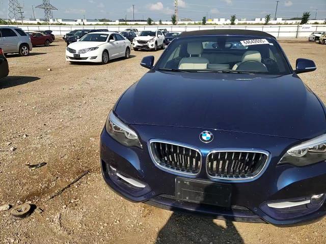 2016 BMW 228 Xi Sulev VIN: WBA1L9C54GV324683 Lot: 64642695