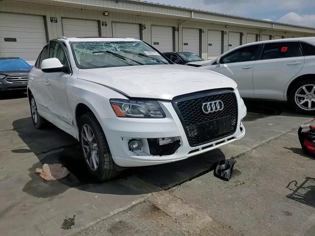 2009 Audi Q5 3.2 VIN: WA1KK78R29A021173 Lot: 64997025