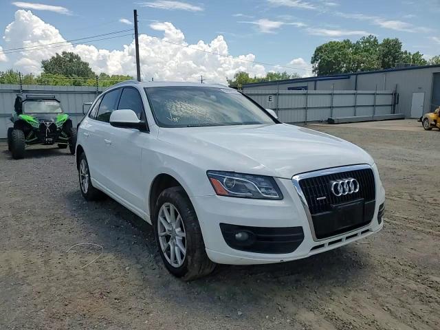 2010 Audi Q5 Premium Plus VIN: WA1LKAFP3AA079932 Lot: 64592755