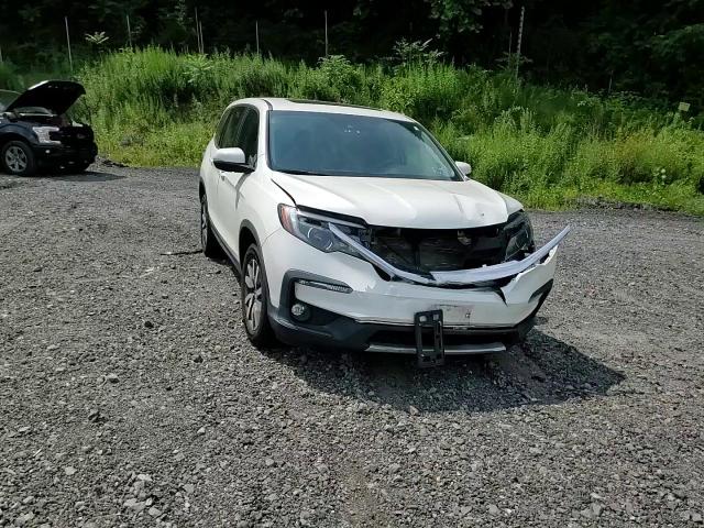 2019 Honda Pilot Exl VIN: 5FNYF6H53KB065921 Lot: 64235585