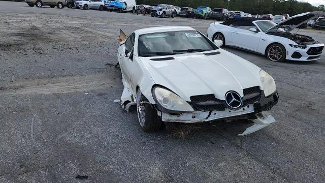 2010 Mercedes-Benz Slk 300 VIN: WDBWK5EAXAF229074 Lot: 64890255
