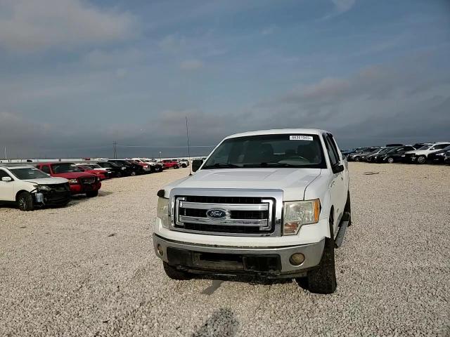 2013 Ford F150 Supercrew VIN: 1FTFW1CF2DKF74575 Lot: 66301945