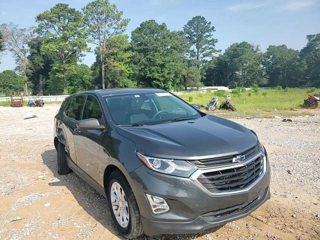 2019 Chevrolet Equinox Ls VIN: 3GNAXHEV0KL203051 Lot: 63025175