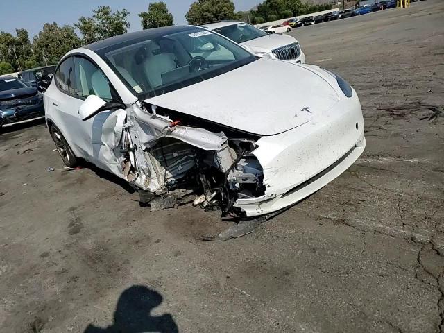 2024 Tesla Model Y VIN: 7SAYGDEE1RF126959 Lot: 65051955