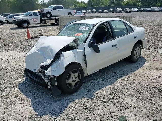 2000 Chevrolet Cavalier VIN: 1G1JC5249Y7301256 Lot: 63311075