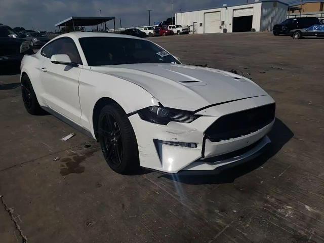 2019 Ford Mustang VIN: 1FA6P8TH9K5150805 Lot: 64908905