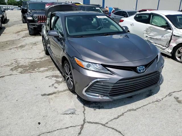 2022 Toyota Camry Xle VIN: 4T1F31AK8NU599331 Lot: 66283675