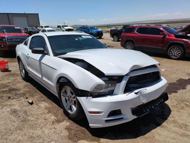 2014 Ford Mustang VIN: 1ZVBP8AMXE5200895 Lot: 64206445