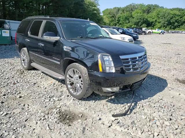 2010 Cadillac Escalade Luxury VIN: 1GYUKBEF6AR135060 Lot: 63782195
