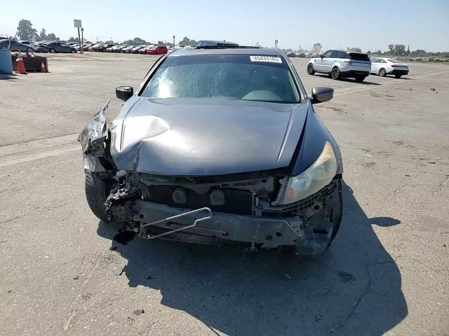 2010 Honda Accord Exl VIN: 1HGCP3F87AA016698 Lot: 65433185