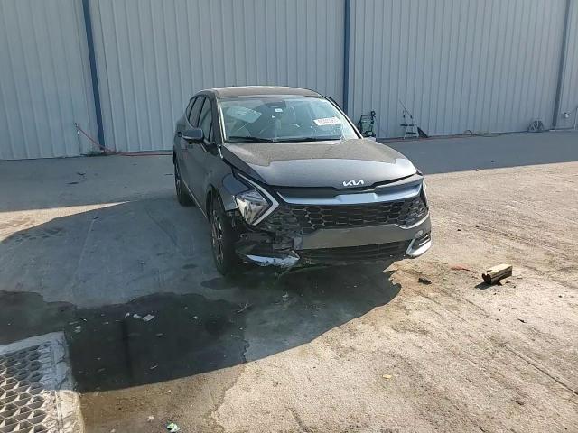 2023 Kia Sportage Ex VIN: 5XYK33AF1PG116896 Lot: 66447965