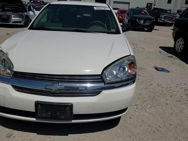 2005 Chevrolet Malibu Maxx Ls VIN: 1G1ZT64875F219228 Lot: 66647365