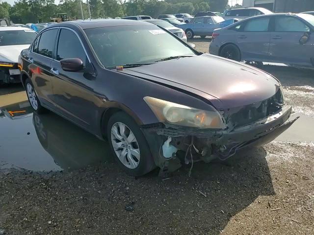 2010 Honda Accord Exl VIN: 5KBCP3F85AB013385 Lot: 63234825