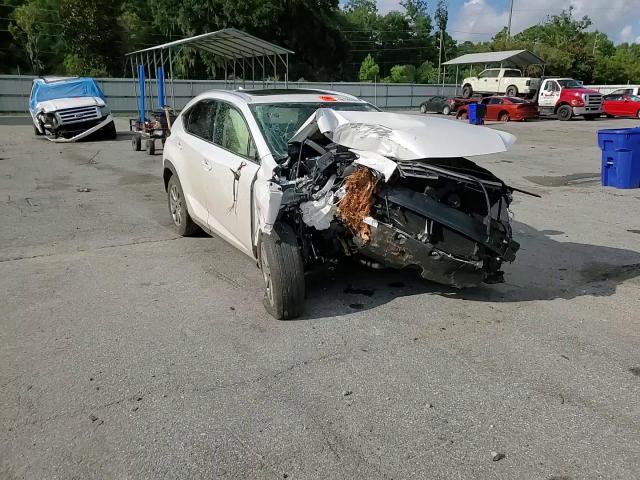 2021 Lexus Nx 300 Base VIN: JTJDARBZ1M5032038 Lot: 66120185