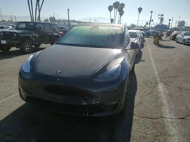 2025 Tesla Model Y VIN: 7SAYGDED2SF311146 Lot: 63065755