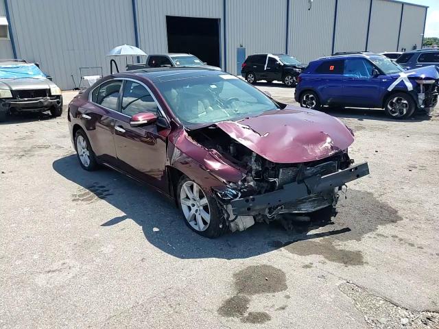 2010 Nissan Maxima S VIN: 1N4AA5AP0AC822460 Lot: 66991505