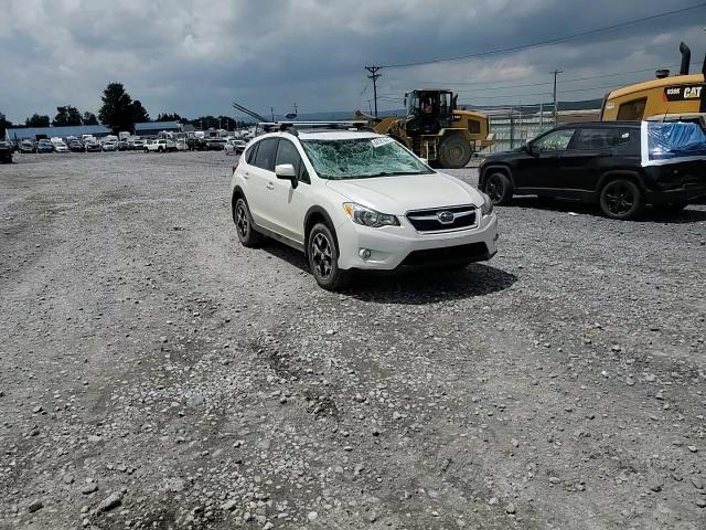 2013 Subaru Xv Crosstrek 2.0 Limited VIN: JF2GPAKC1D2841487 Lot: 64787645