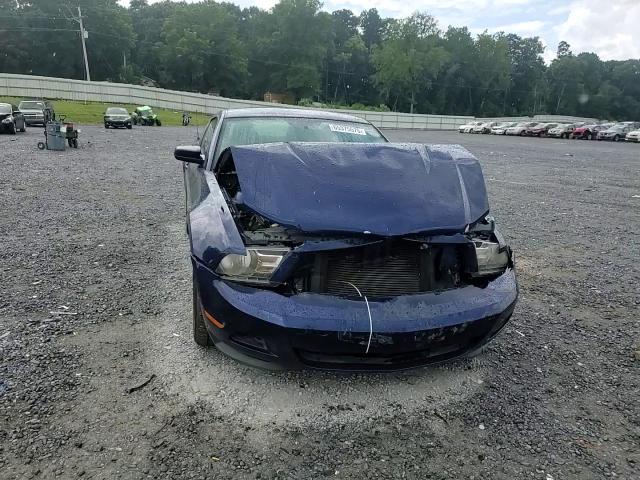 2011 Ford Mustang VIN: 1ZVBP8AM5B5135188 Lot: 65375575