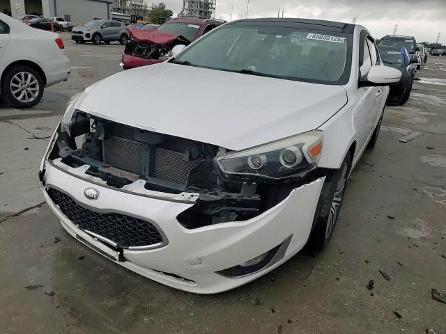 2014 Kia Cadenza Premium VIN: KNALN4D78E5135201 Lot: 65035125