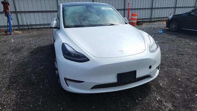 2023 Tesla Model Y VIN: 7SAYGDEE3PF702497 Lot: 64995825