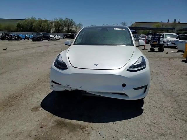 2025 Tesla Model Y VIN: 7SAYGDED9SF260437 Lot: 66044185