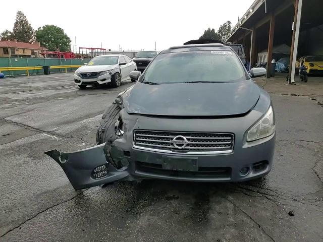 2009 Nissan Maxima S VIN: 1N4AA51E39C856872 Lot: 64446755