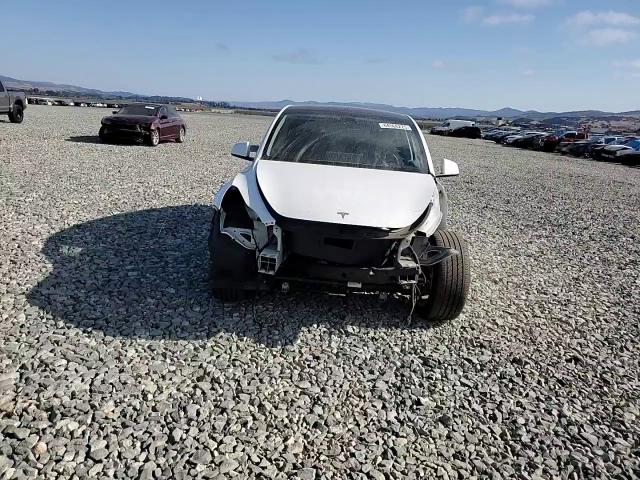 2023 Tesla Model Y VIN: 7SAYGDEE0PA096864 Lot: 64566225