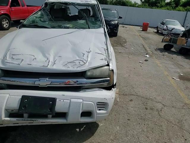 2005 Chevrolet Trailblazer Ls VIN: 1GNDT13S252271849 Lot: 63738045