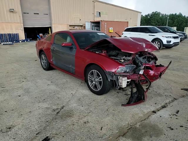 2013 Ford Mustang VIN: 1ZVBP8AMXD5204654 Lot: 64302305