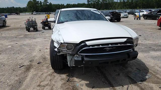 2013 Ford Mustang VIN: 1ZVBP8AM6D5259196 Lot: 65573925