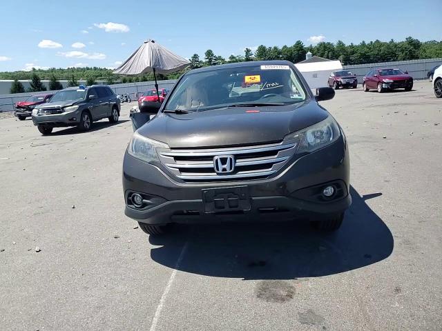 2014 Honda Cr-V Ex VIN: 5J6RM4H51EL075017 Lot: 65949765