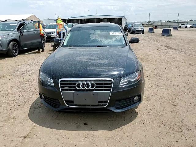 2010 Audi A4 Premium VIN: WAUBFAFL6AN028384 Lot: 64507425