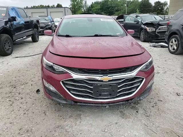 2019 Chevrolet Malibu Lt VIN: 1G1ZD5ST1KF165788 Lot: 64438135