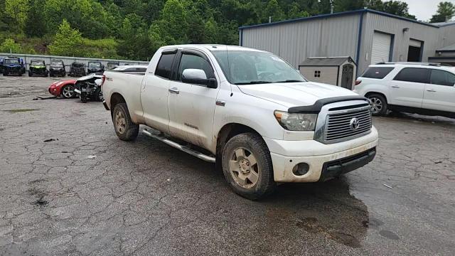 2010 Toyota Tundra Double Cab Limited VIN: 5TFBY5F15AX135000 Lot: 62285715