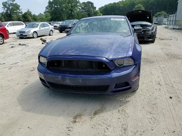 2013 Ford Mustang VIN: 1ZVBP8AM5D5213004 Lot: 68227284