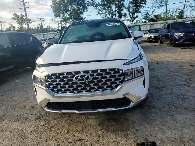 2023 Hyundai Santa Fe Sel Premium VIN: 5NMS3DAJ7PH569517 Lot: 68428644