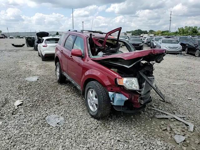 2010 Ford Escape Limited VIN: 1FMCU0EG2AKA70852 Lot: 66312114